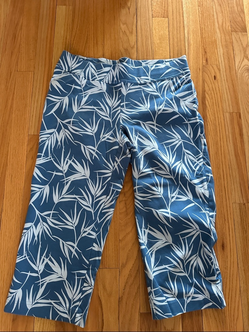 Land’s End Blue and Lighter Blue Print Crop Women’s starfish pants
